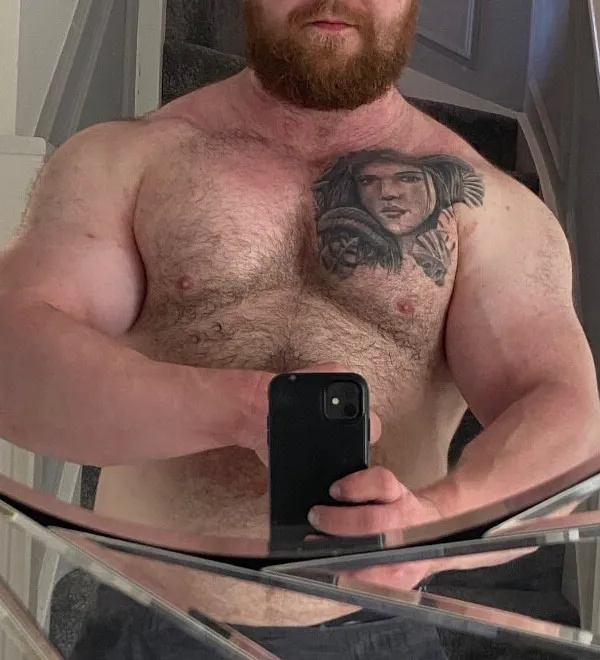 Baileymusclebearfree